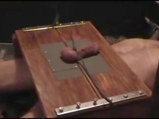 Pájaro carpintero tortura en trample caja, gratis flagelación sexo película vid 1b